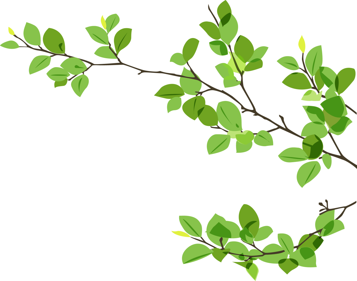 Ветка дерева