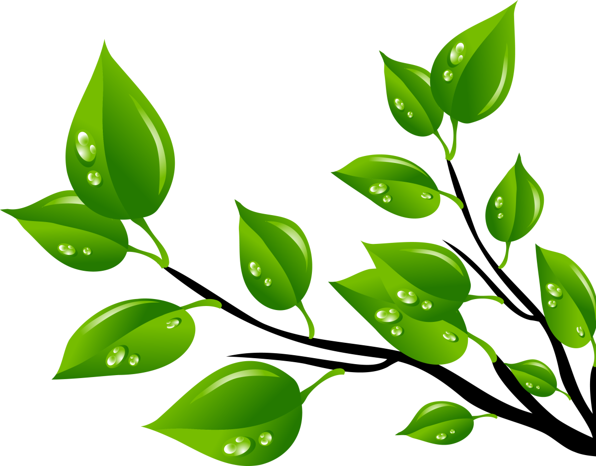 Ветка с листочками