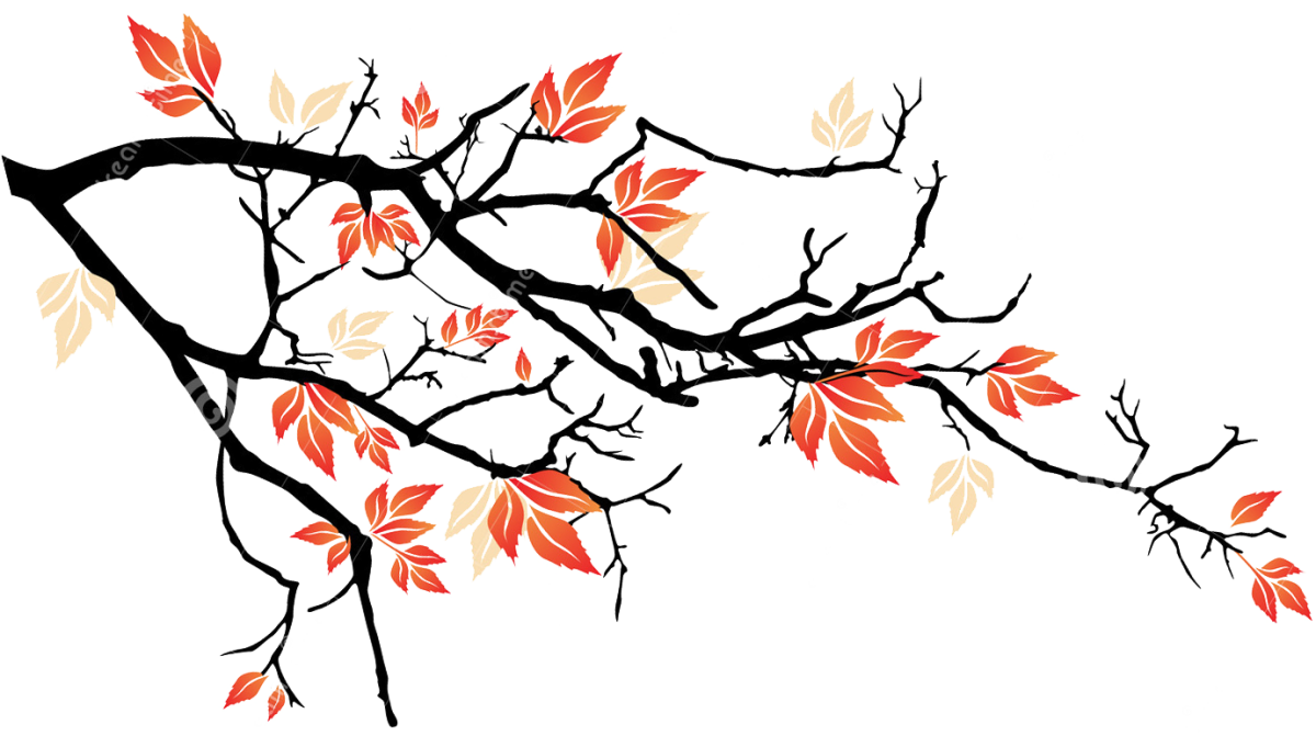 Нарисовать ветку дерева