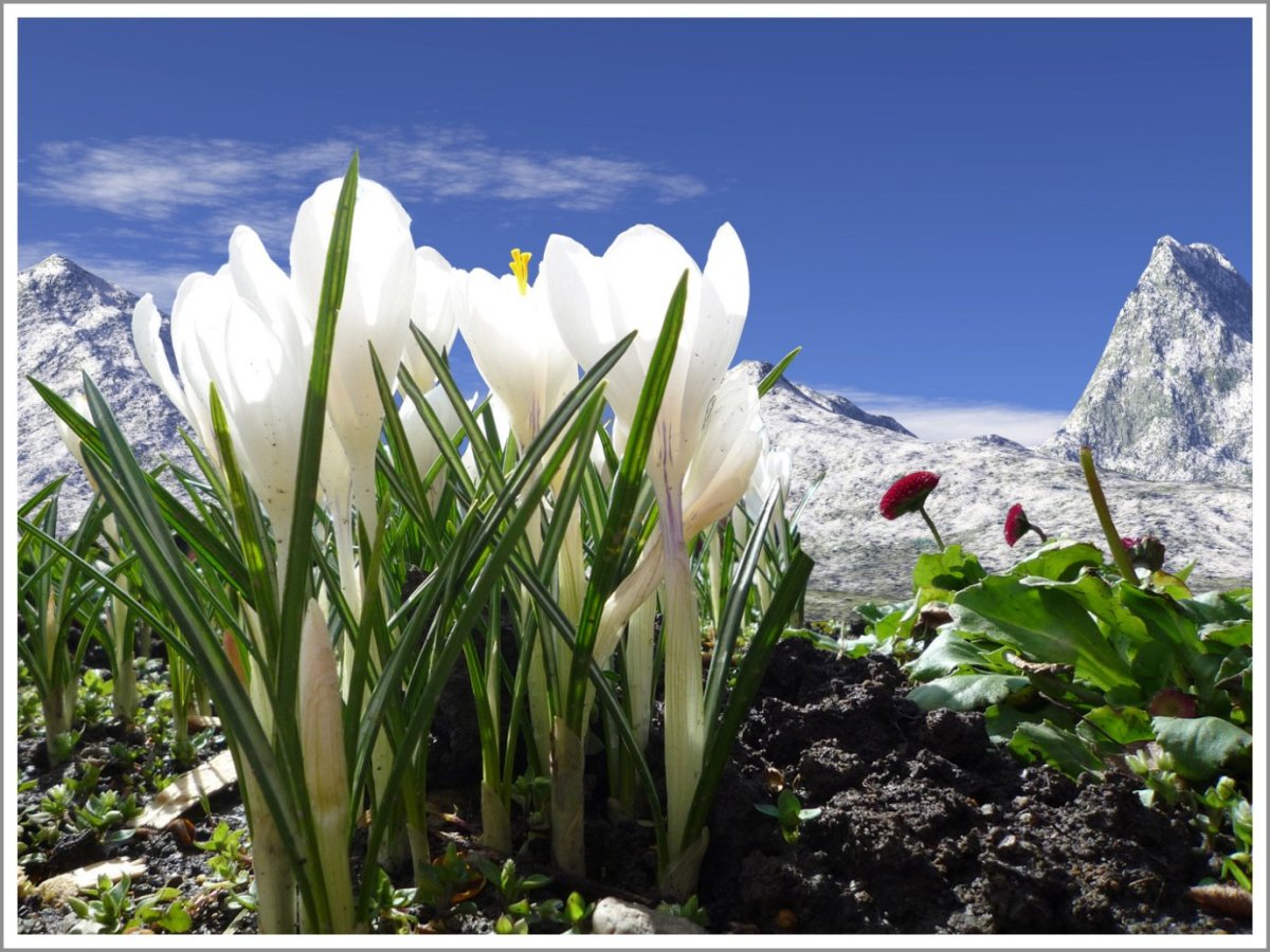 Ранняя Весна