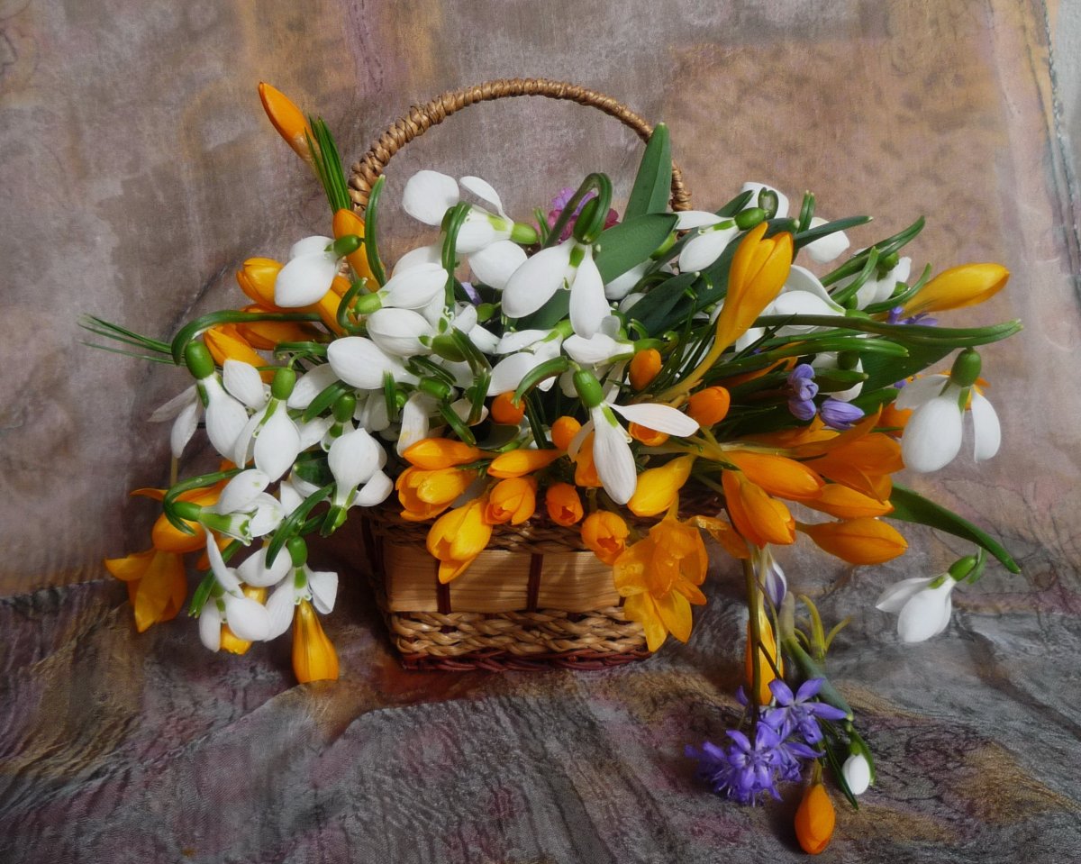 Ландыши и подснежники