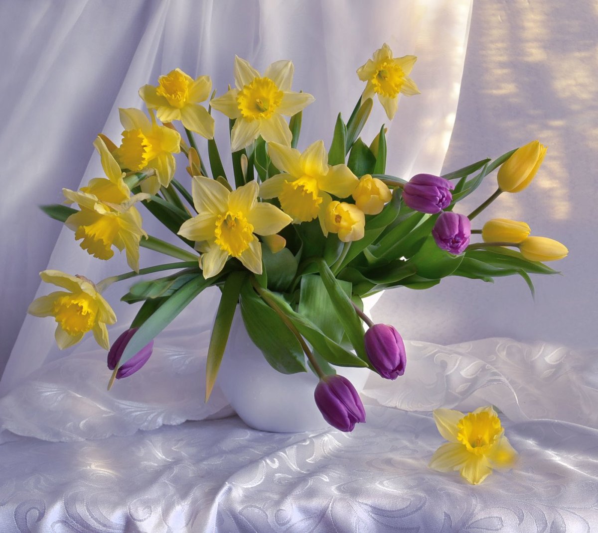 Весна подснежники крокусы