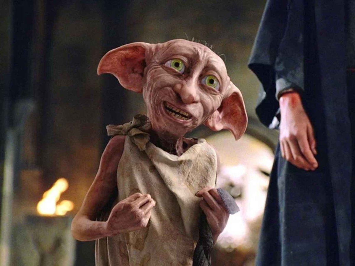 Dobby has no Master