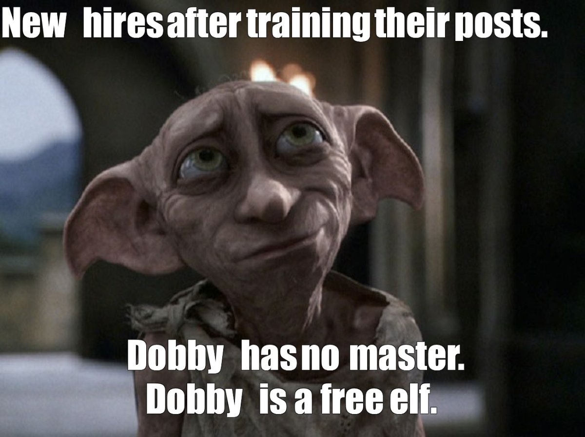 Добби Свободный Эльф Мем