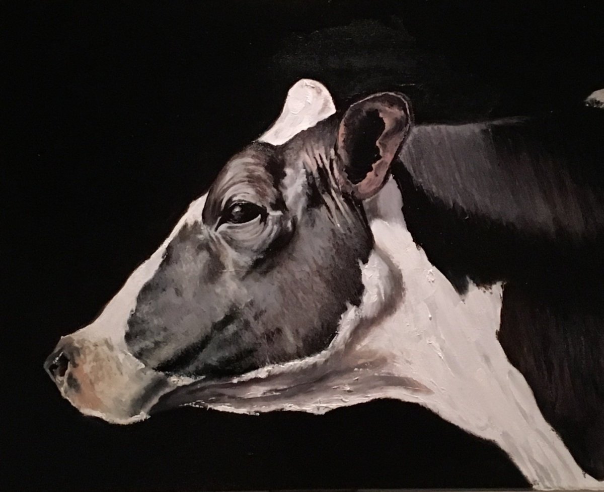 Коровья голова