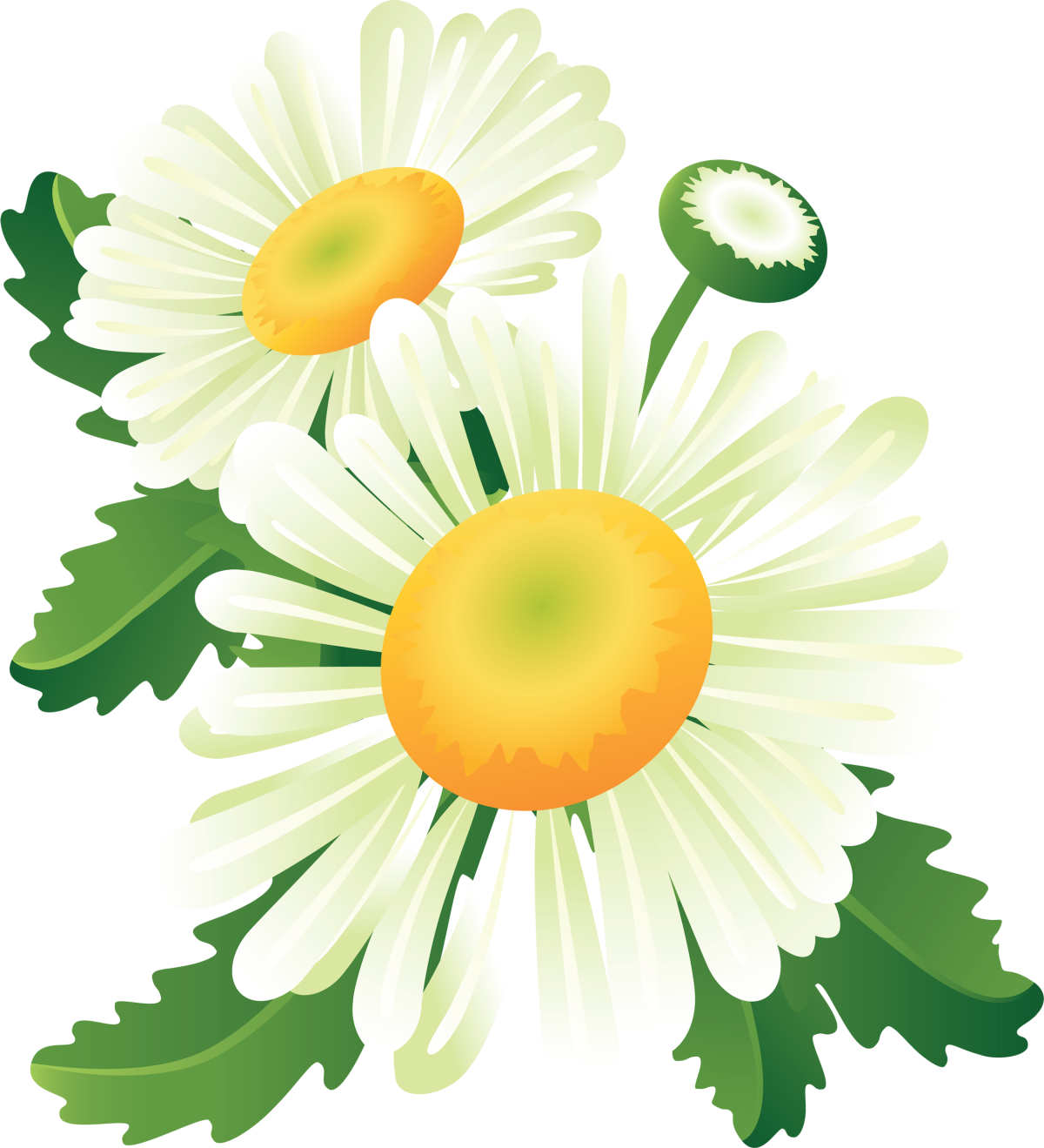 Ромашки мультяшные