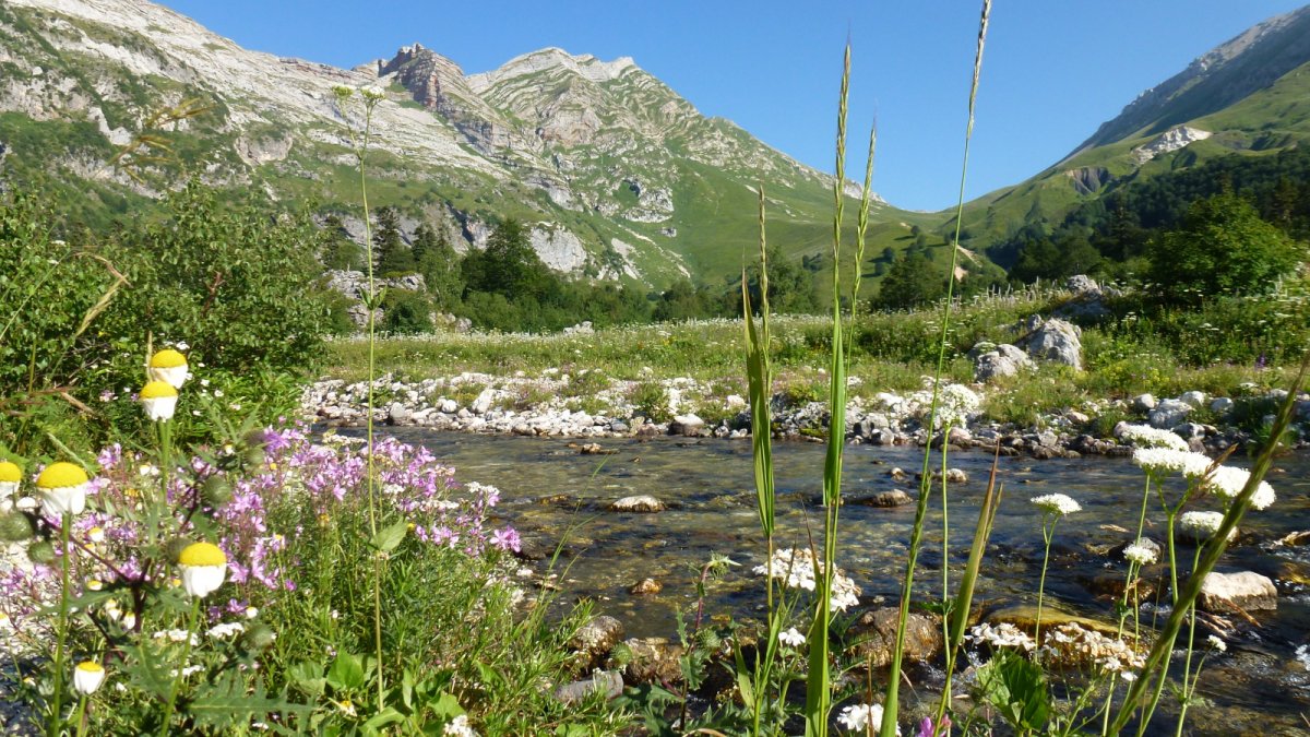 Физическая карта Северного Кавказа