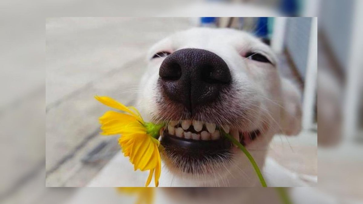 Доброе утролюбимажена