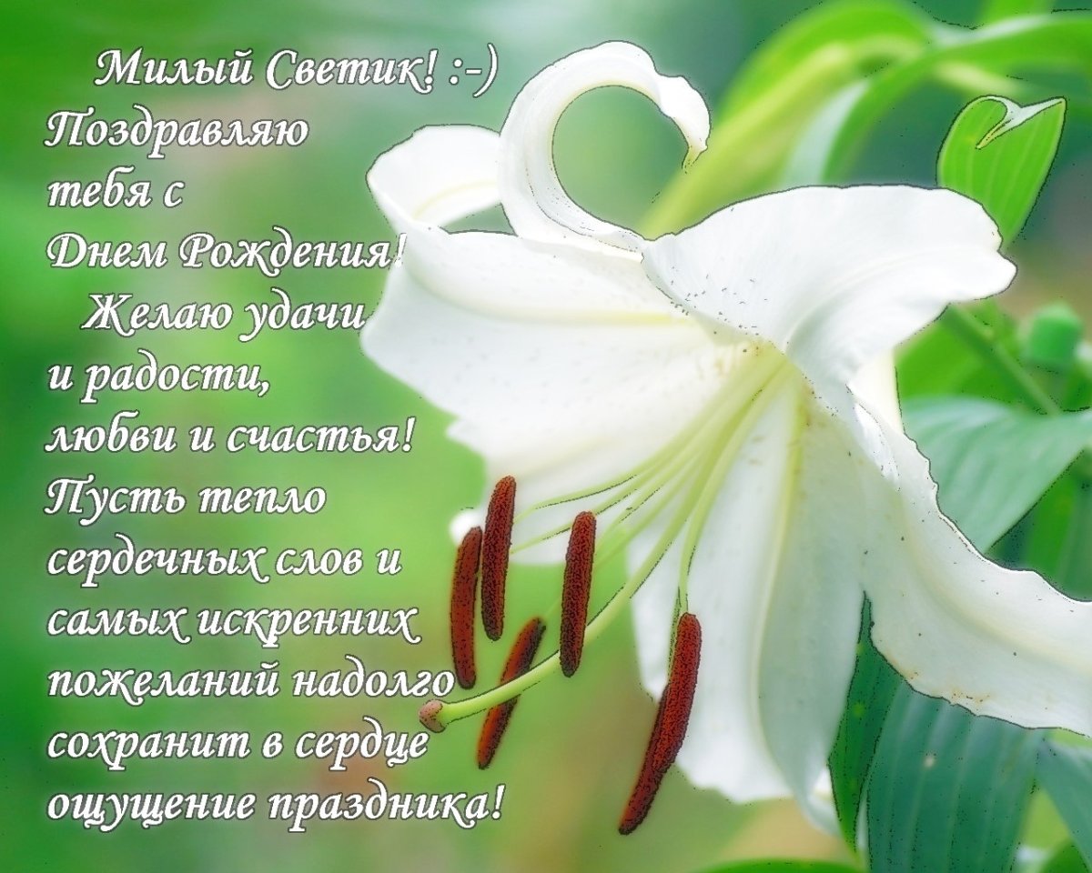 Светик с днем рождения тебя