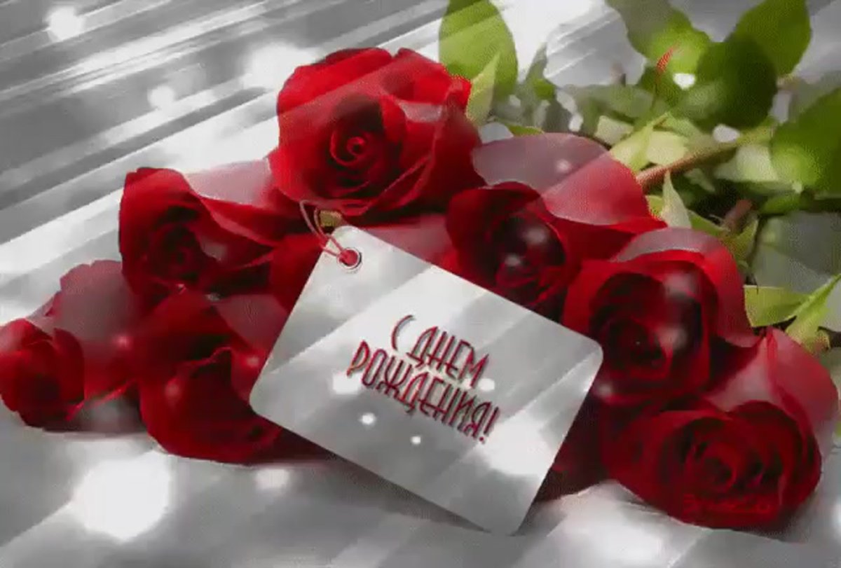 Светочка с днём рождения гиф