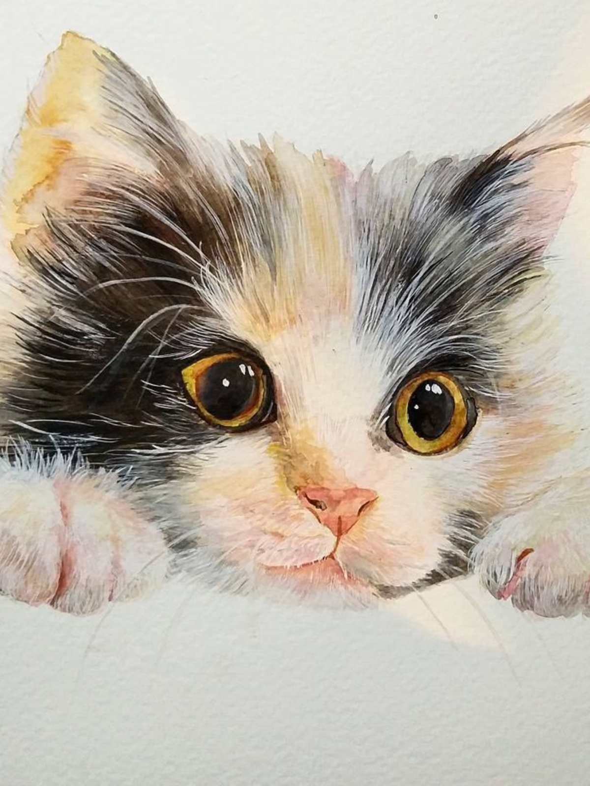 Наоми Лорд Чиби коты