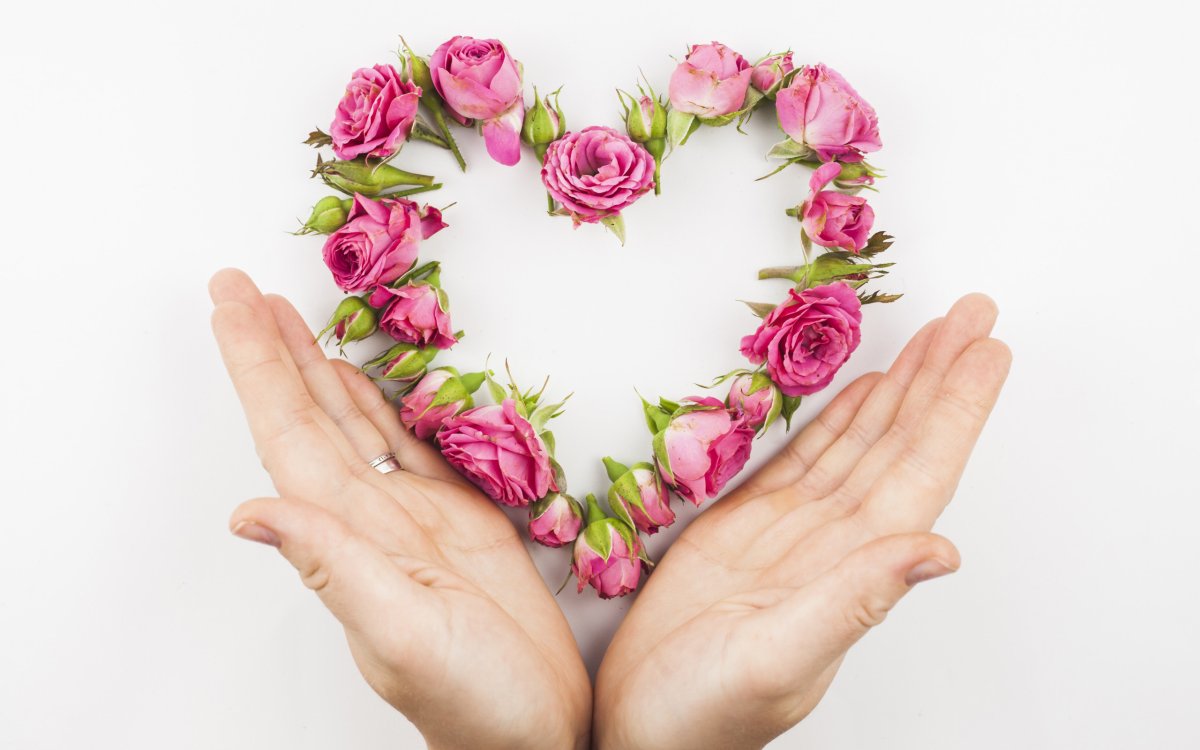 Цветы в ладонях