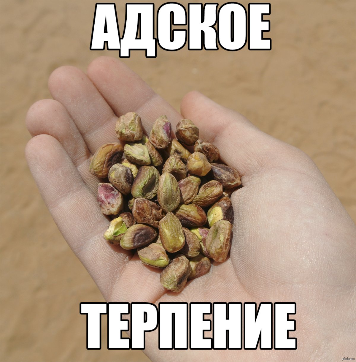 Терпение демотиватор