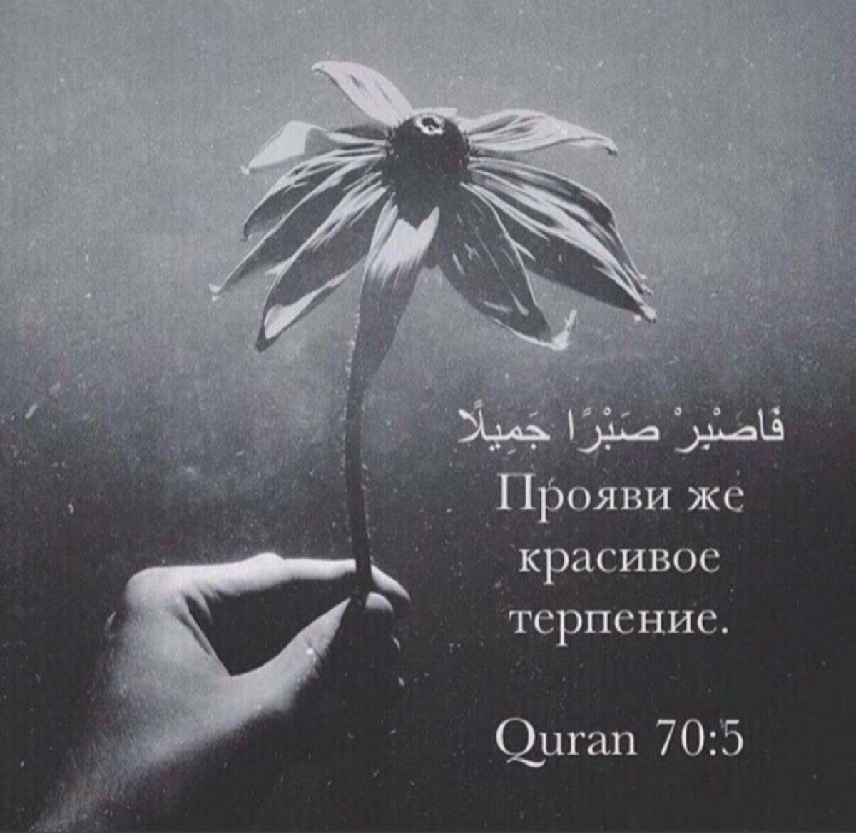 Прояви же красивое терпение