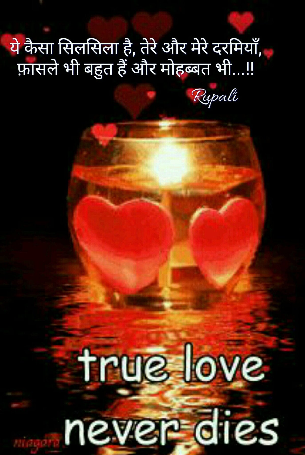 Ночное сердце