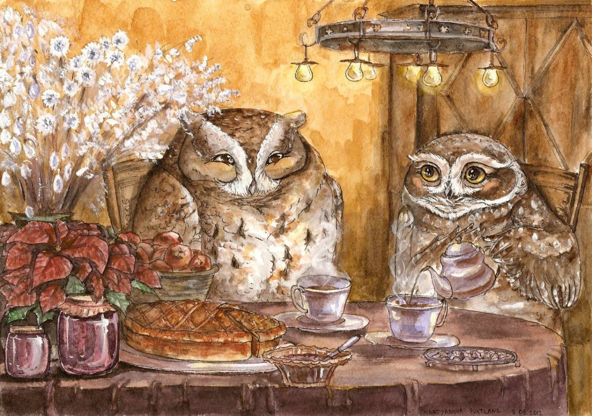 Совы чаепитие