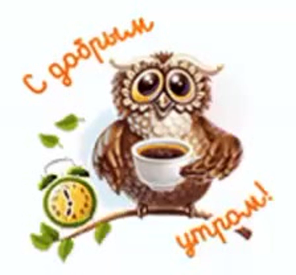 Сова с кофе