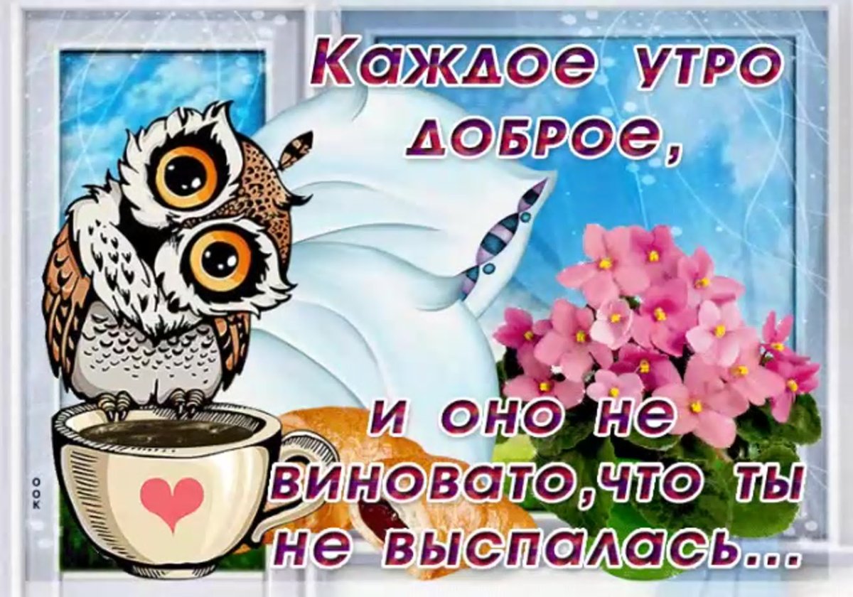 Доброе утро хорошего дня Сова