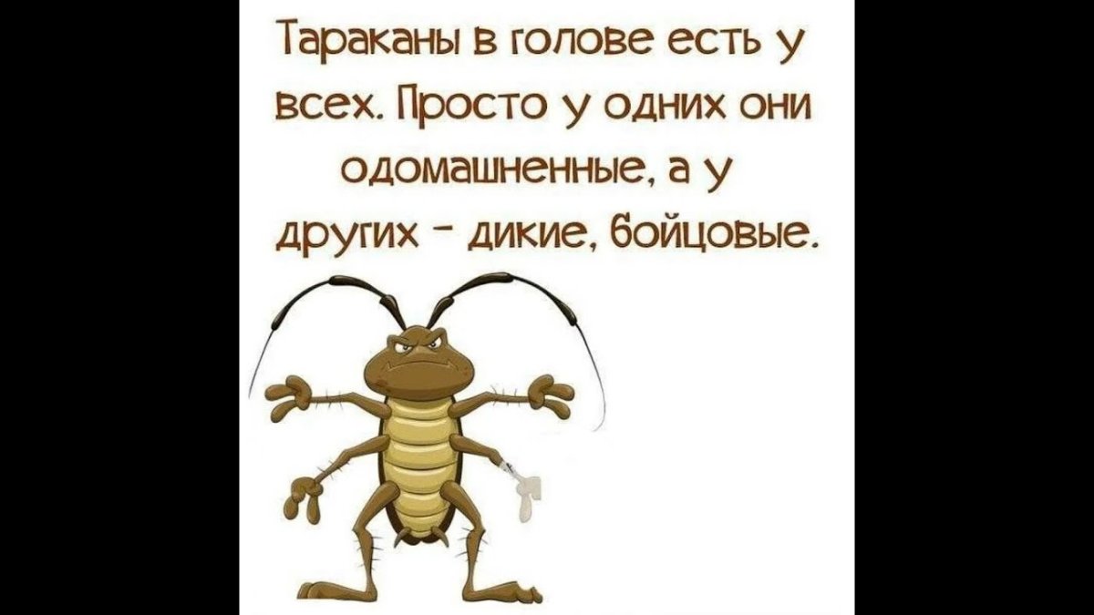 Шутки про тараканов в голове