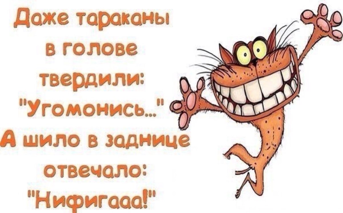 У каждого свои тараканы в голове