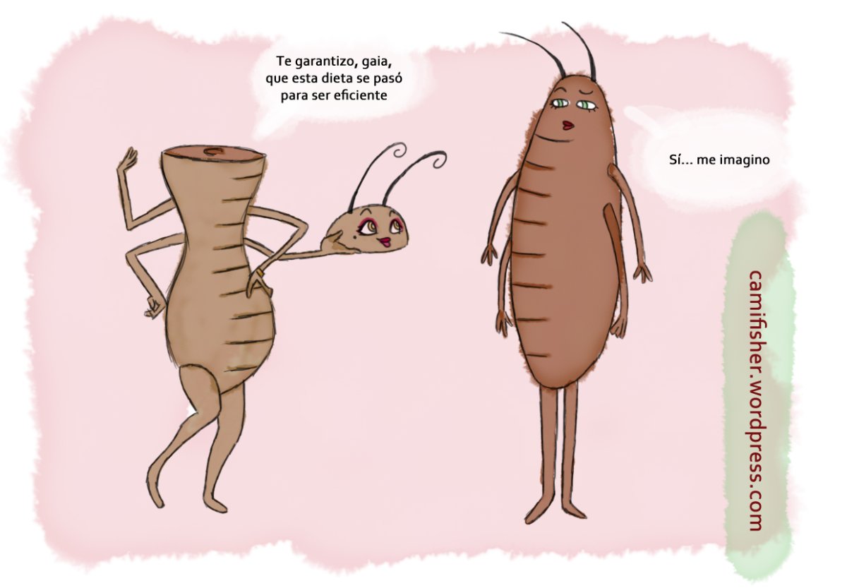 Тараканы прикольные картинки