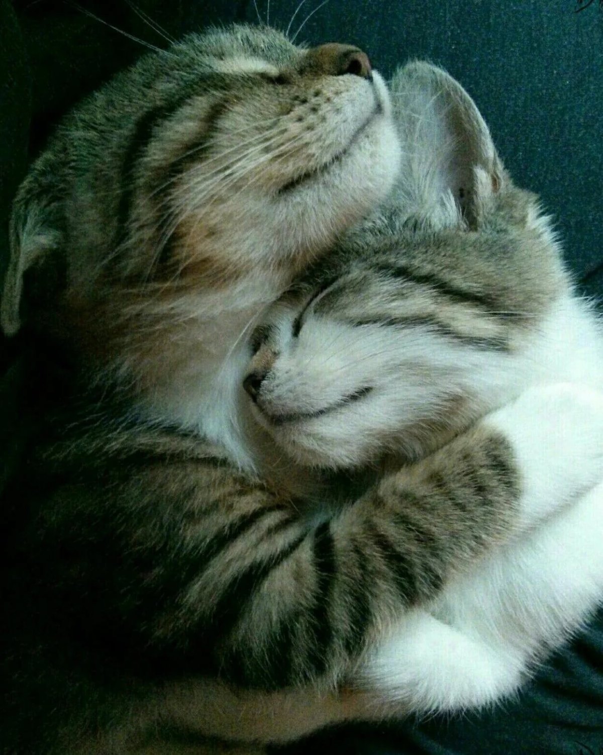 Про любовь со смыслом