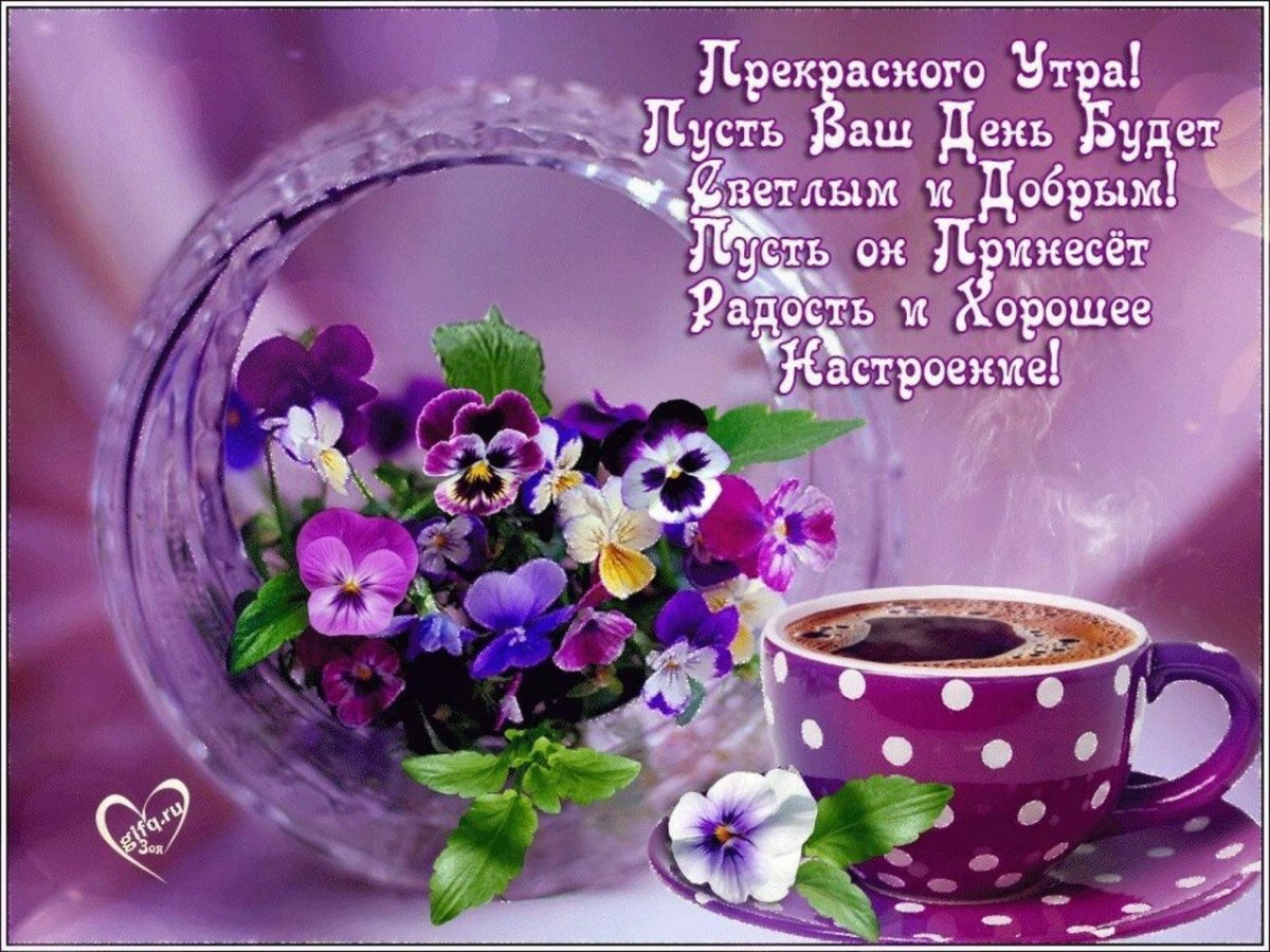 Доброе утро прекрасного дня