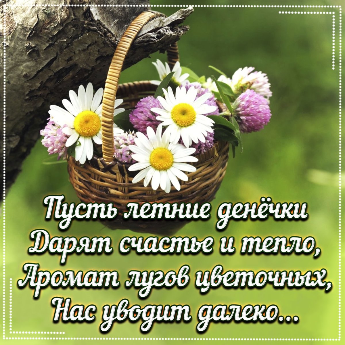 Нежные поздравления с добрым утром