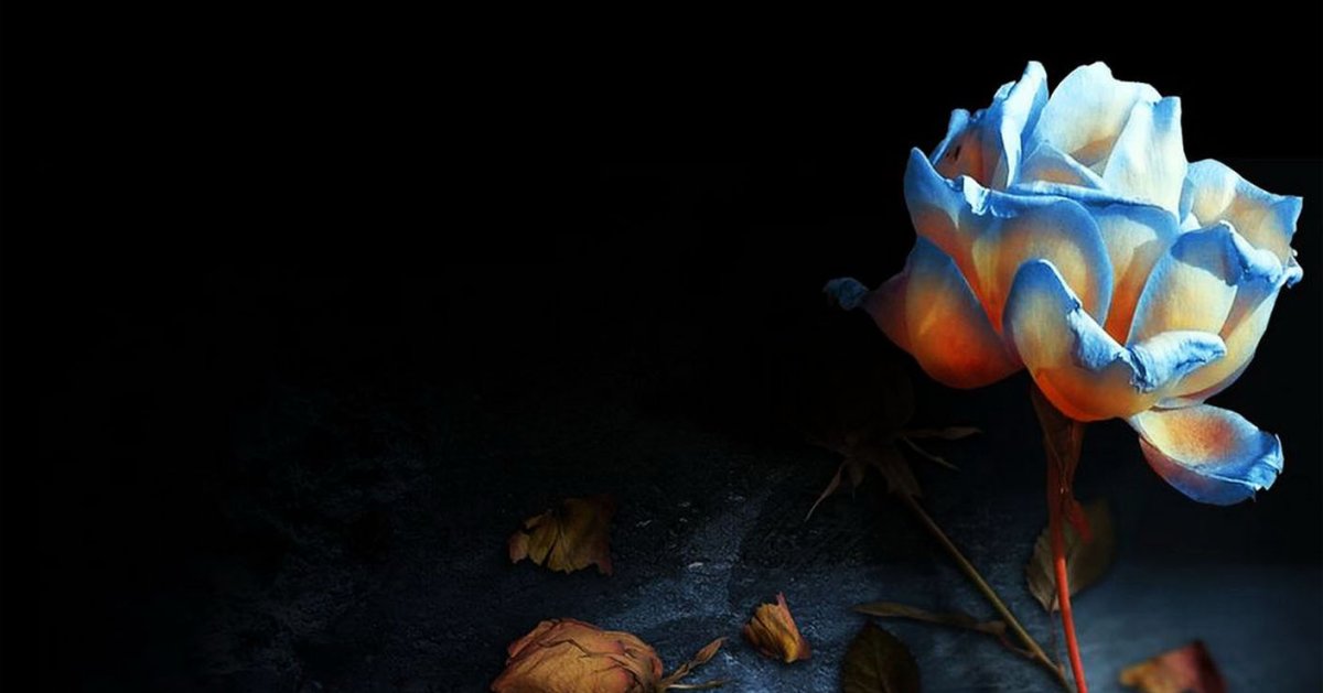 Высказывания святых о добре