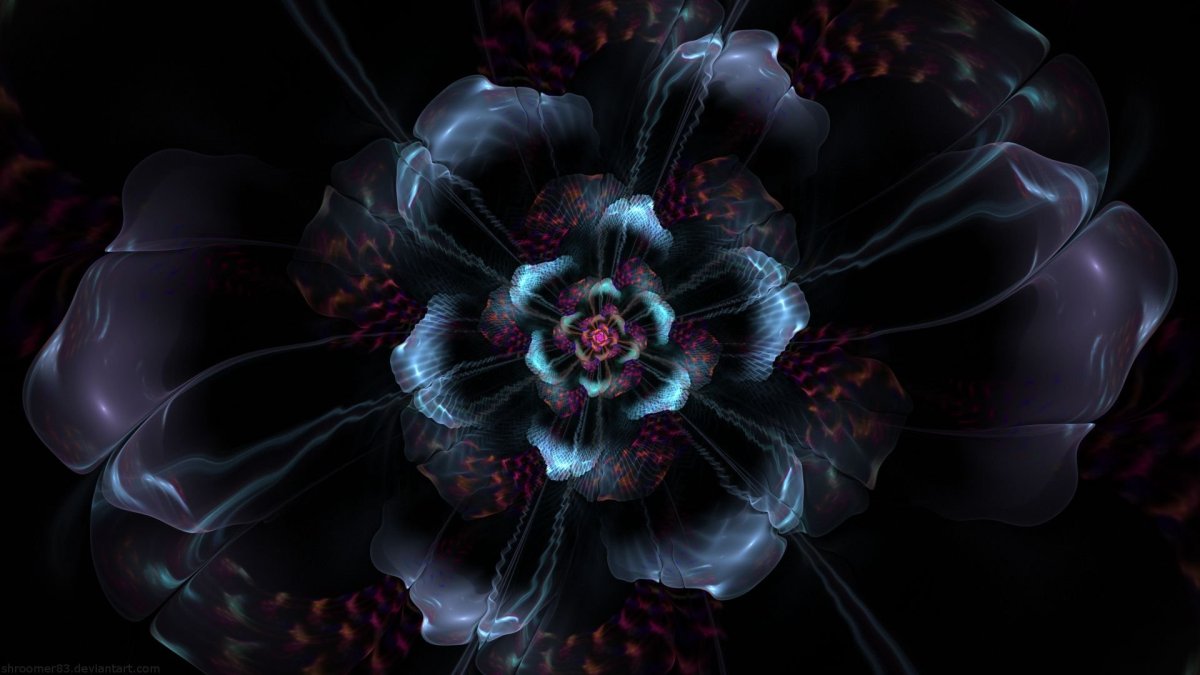 Цветы на черном фоне