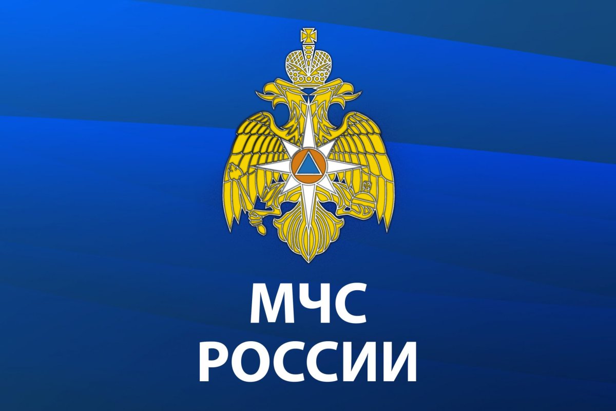 МЧС Белоруссии герб