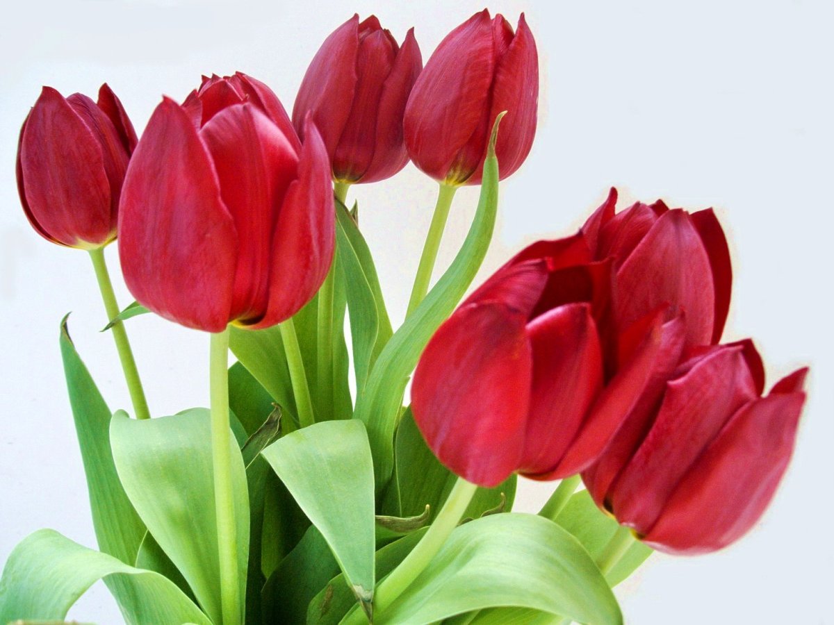 Блестящие открытки с днем рождения