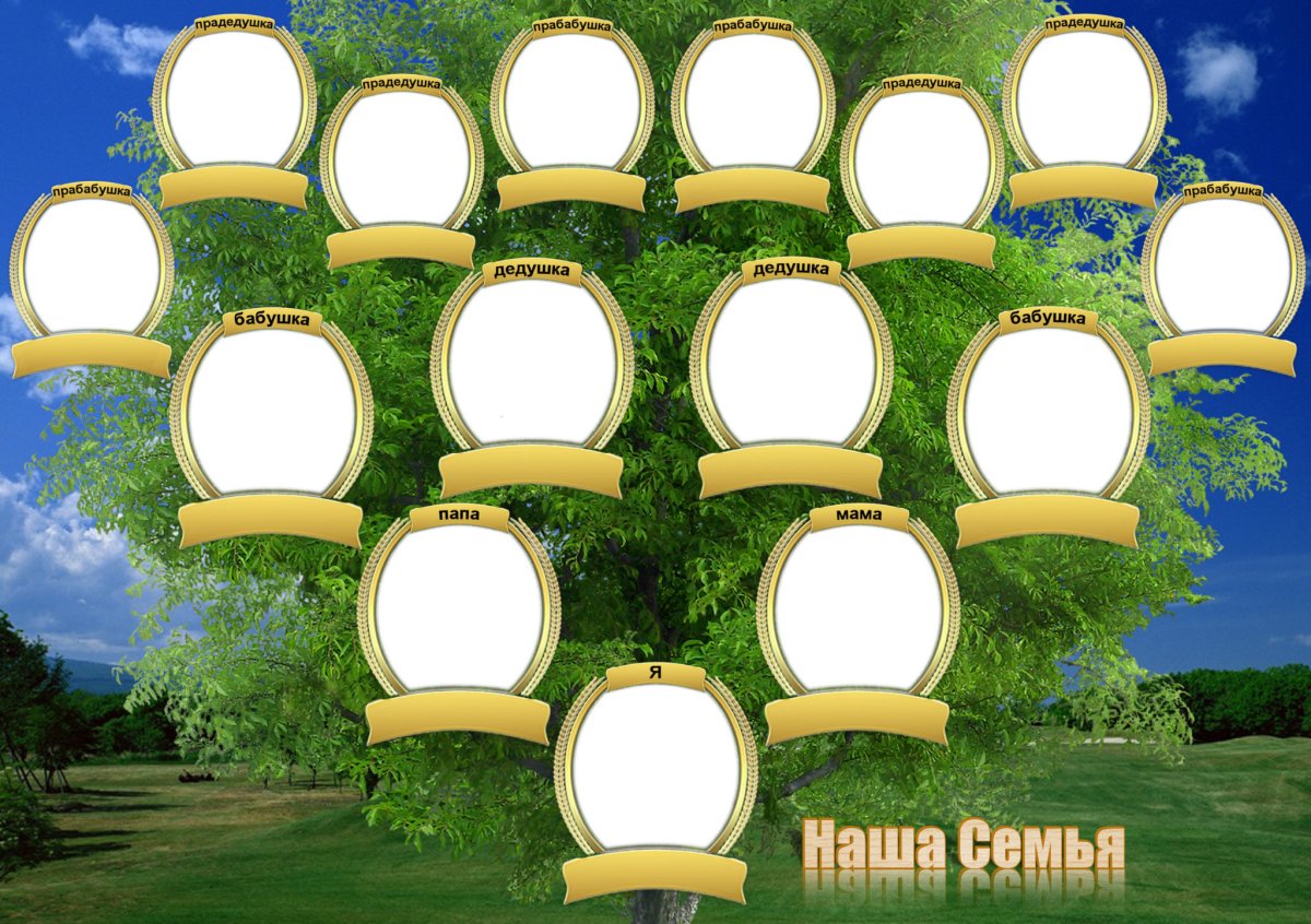 Родословная на а4