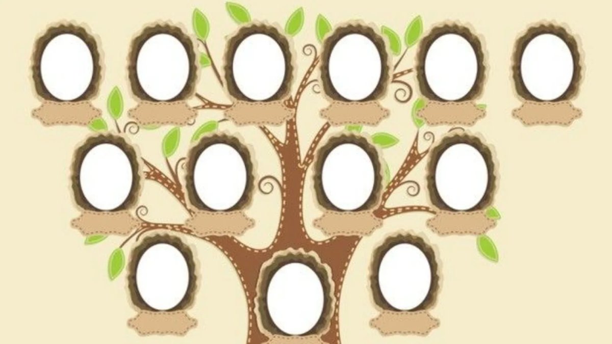 Генеалогическое Древо пустое