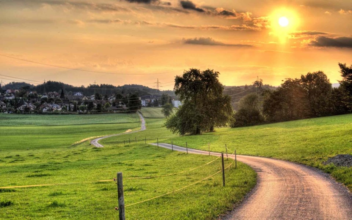 Дорога домой