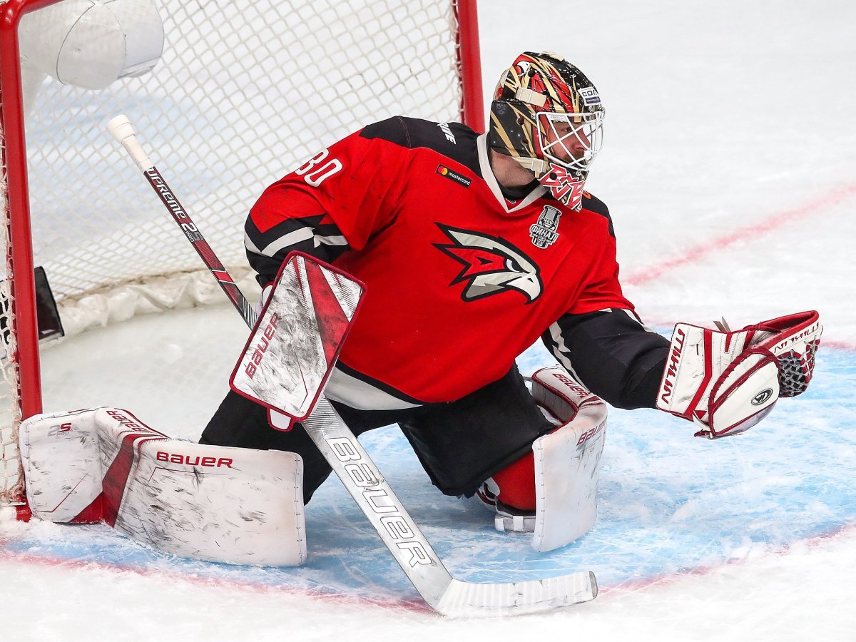 Вся команда Авангард