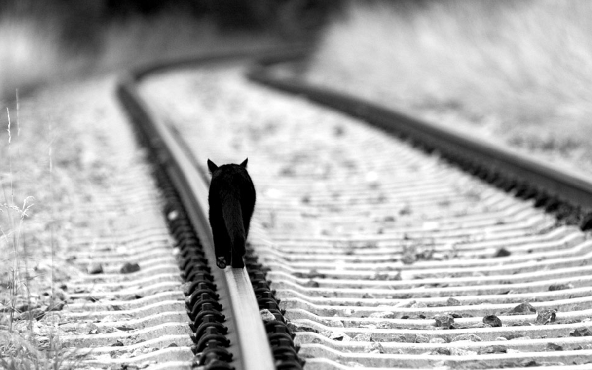 Печальные картинки