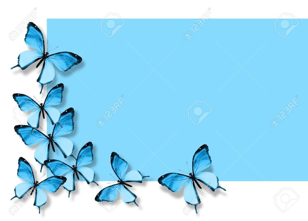 Синяя бабочка