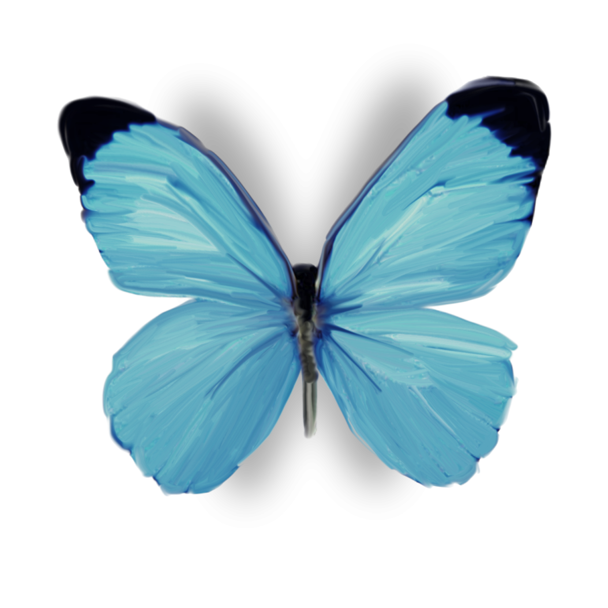 Светло бирюзовые бабочки