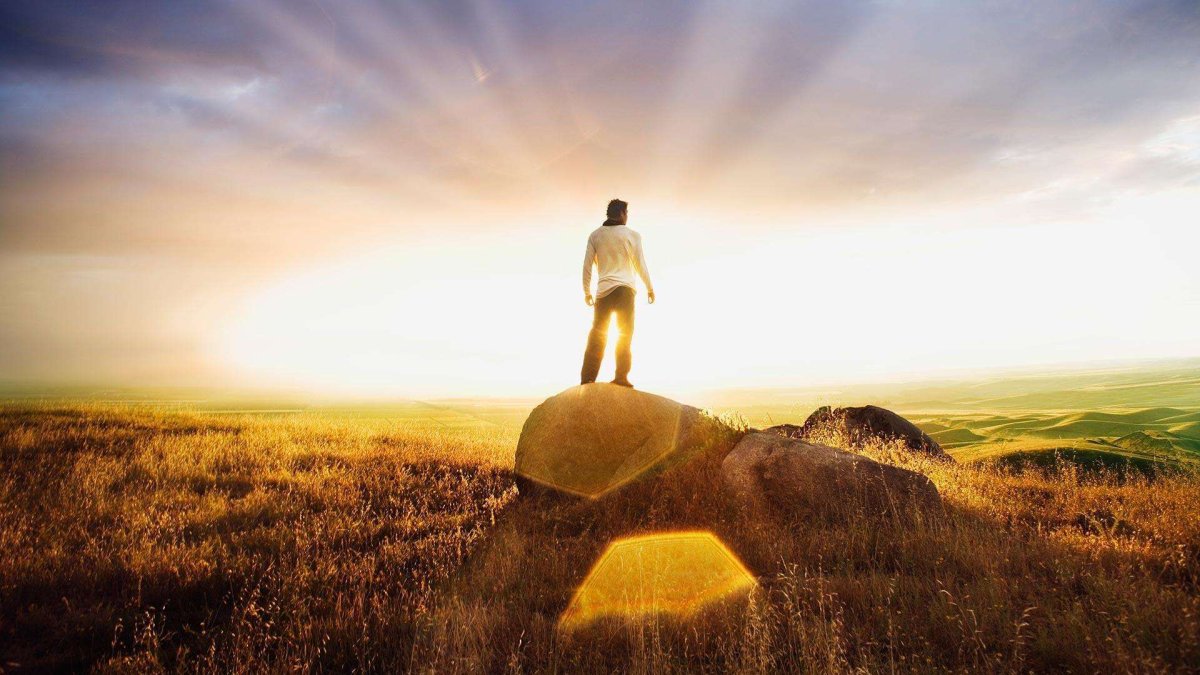 Путь в профессию