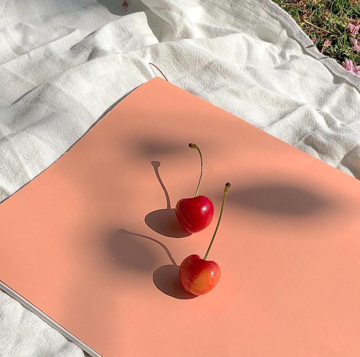 Вишня Эстетика Пинтерест