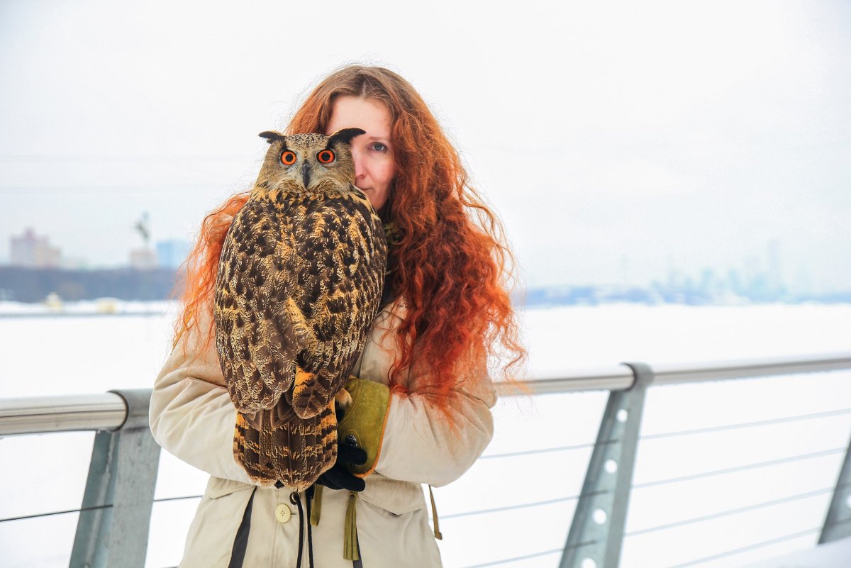 Тотемная Сова