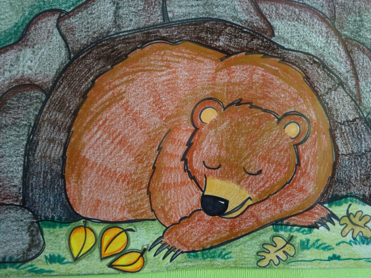 Рисование медведь в берлоге