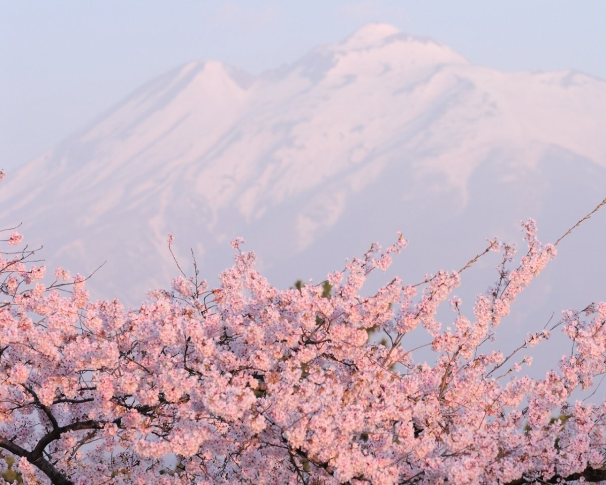 Природа Японии Эстетика