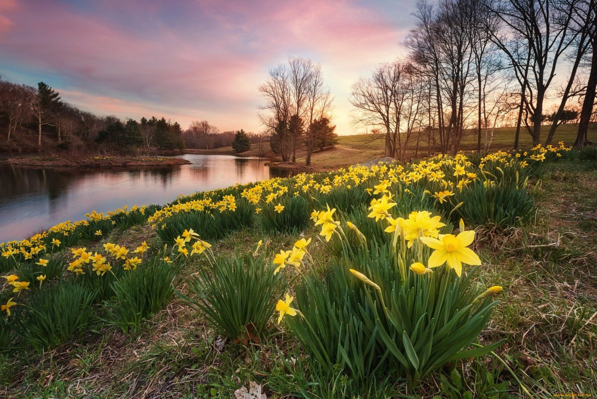 Весенняя природа