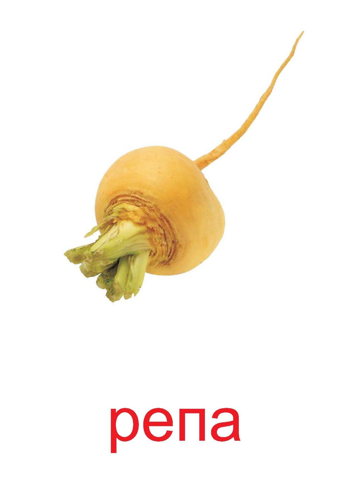 Овощи для детей