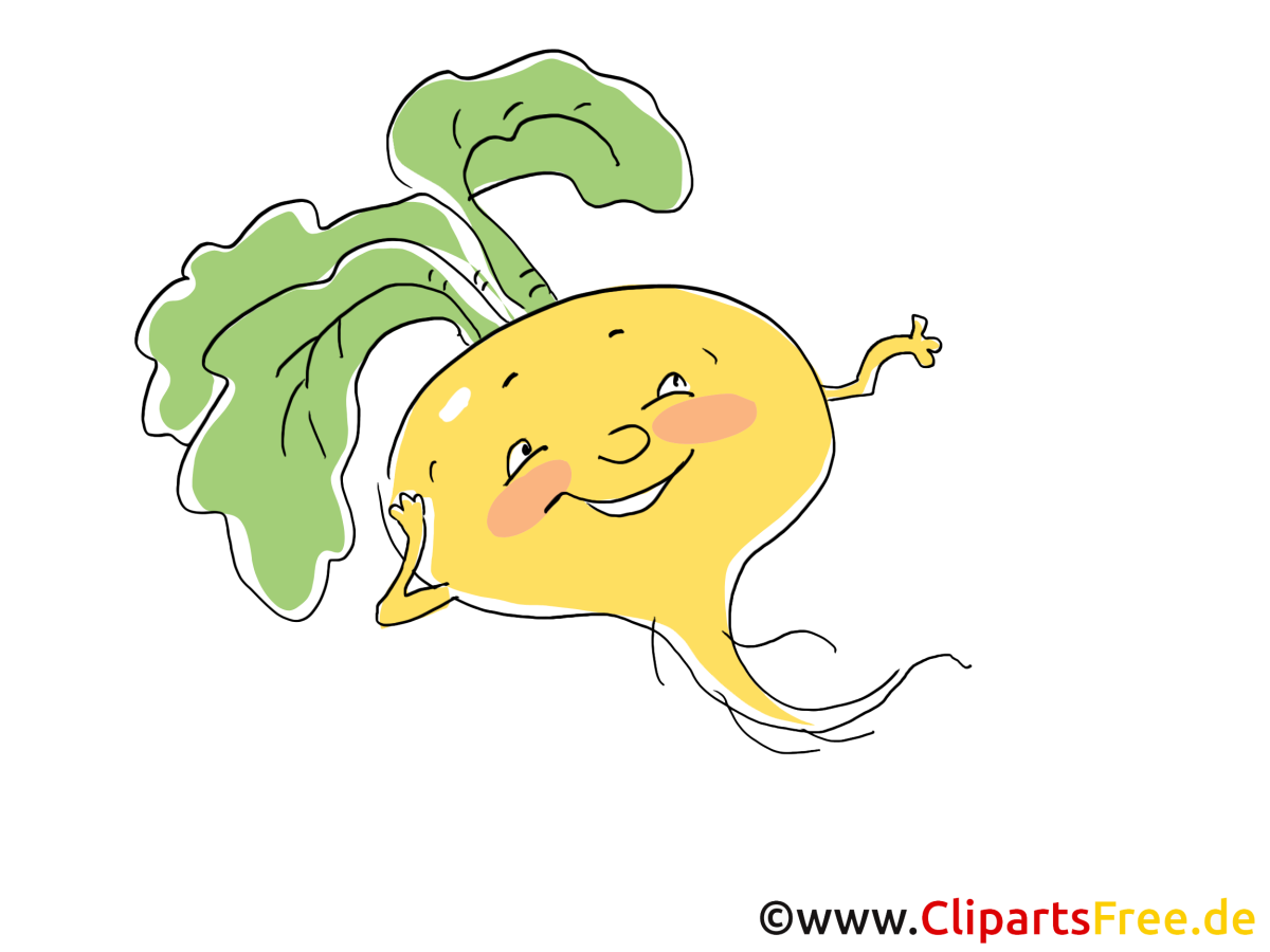 Репа картинка для детей