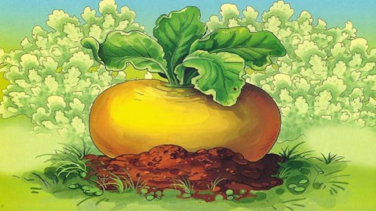 Редкие сказки