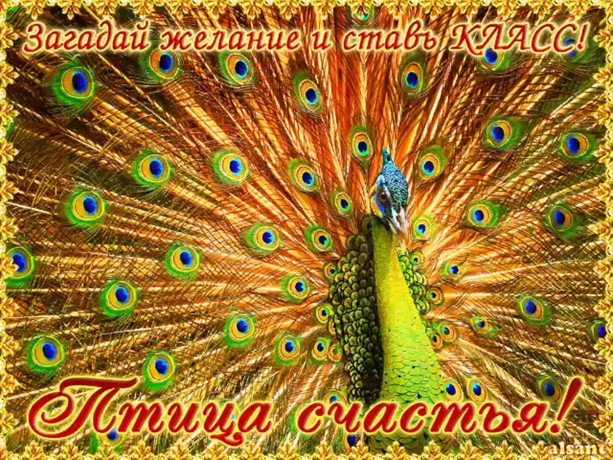 Открытка птица счастья