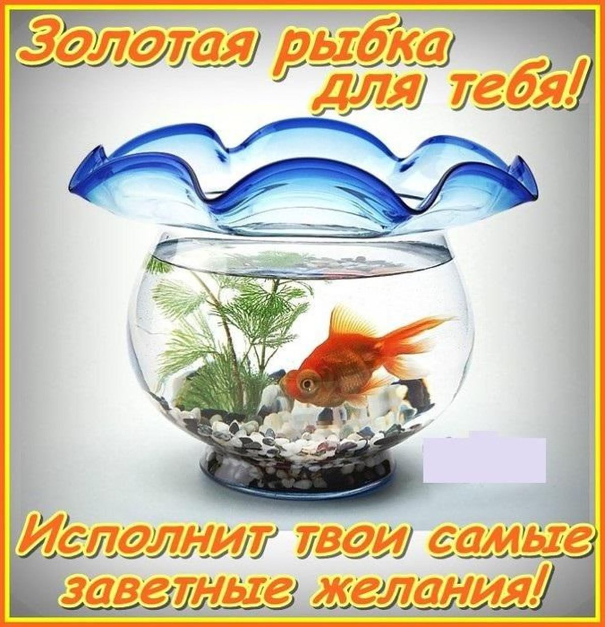 День исполнения желаний открытки